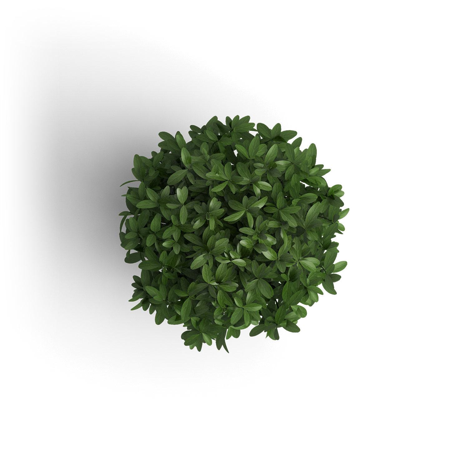 object_plant_1.png